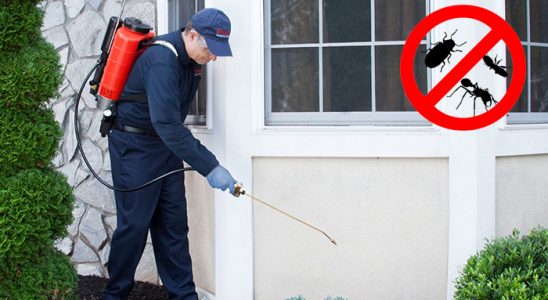 Saruhanlı Böcek İlaçlama böcek ilaçlama ve haşere kontrolü — ilaclama-tr.com